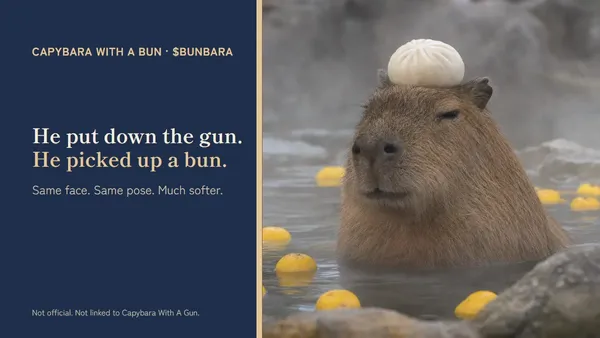 The share card: the capybara in the hot spring with a bun on his head.